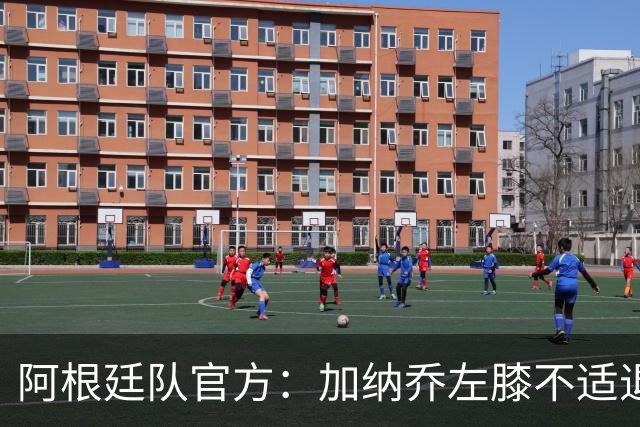 阿根廷队官方：加纳乔左膝不适退出本期国家队
